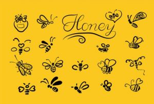 diferentes tipos de abejas presentes en una sola imagen
