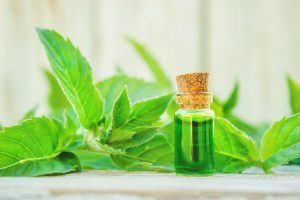 Aceite de menta y hojas sobre la mesa