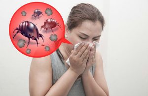 Alergia Ácaros del Polvo: Sintomas, Tratamentos e Prevenção