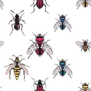 Bordado bicho marrón, hormiga del bosque, amarillo, rojo, azul y verde moscas, abeja miel, avispa. Parche de moda con ilustración de insectos.
