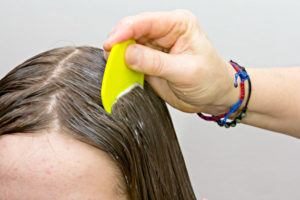 Cepillado del cabello para tratar los piojos de la cabeza