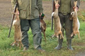 Dos personas tienen conejos y pistolas en las manos en la naturaleza.