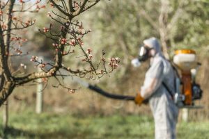 un hombre en la naturaleza con la máquina de control químico