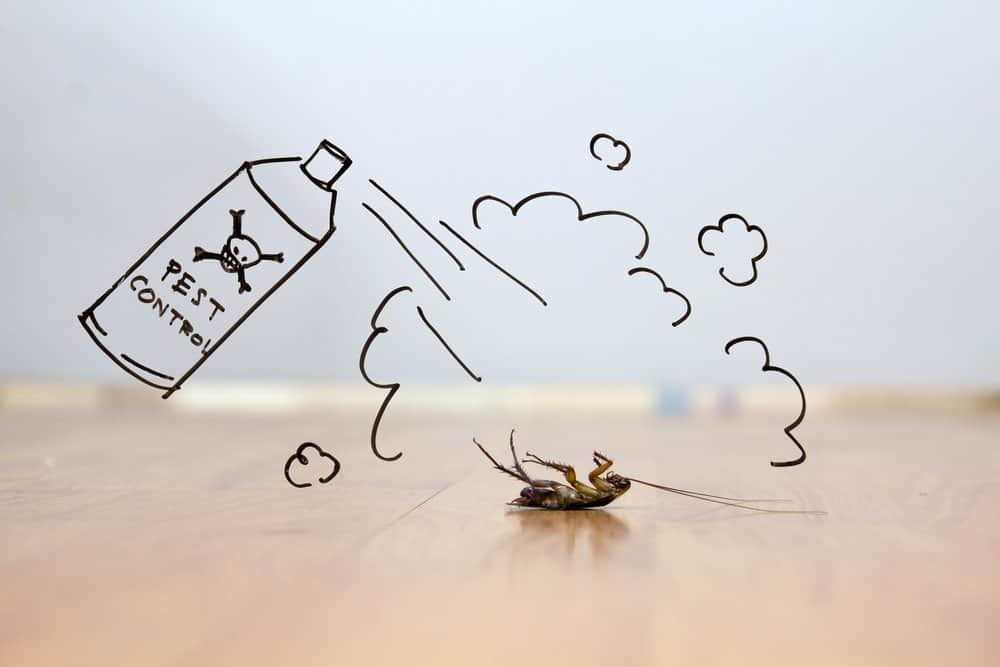 Un spray de insectos de dibujos animados está matando cucarachas en el suelo