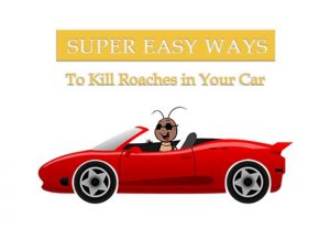 Una divertida caricatura de una cucaracha dentro del coche