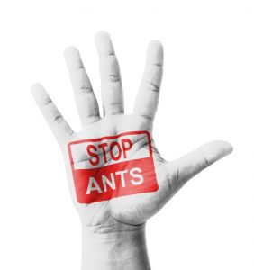 Mano abierta levantada, con el cartel Stop Ants pintado