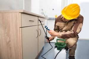 Trabajador de control de plagas fumigando plaguicidas en el cajón de madera.