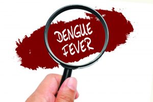 Fiebre del dengue, concepto de salud.