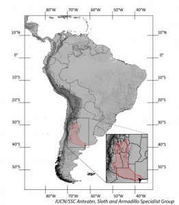 Hada rosa armadillo Hábitat y rango geográfico