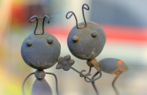 Top 6 DIY Trampas Para Hormigas Caseras (y Cómo Usarlas)