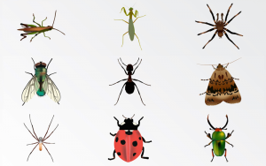 10 Mejores Reseñas de Zapper de Insectos en Interiores