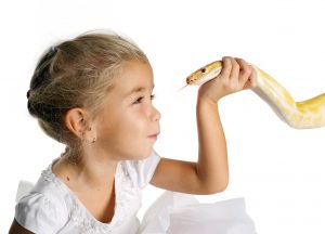 Una niña está sosteniendo una serpiente de mascota en la mano