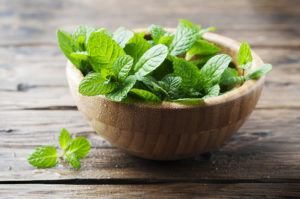 Hojas verdes frescas de menta sobre la mesa de madera