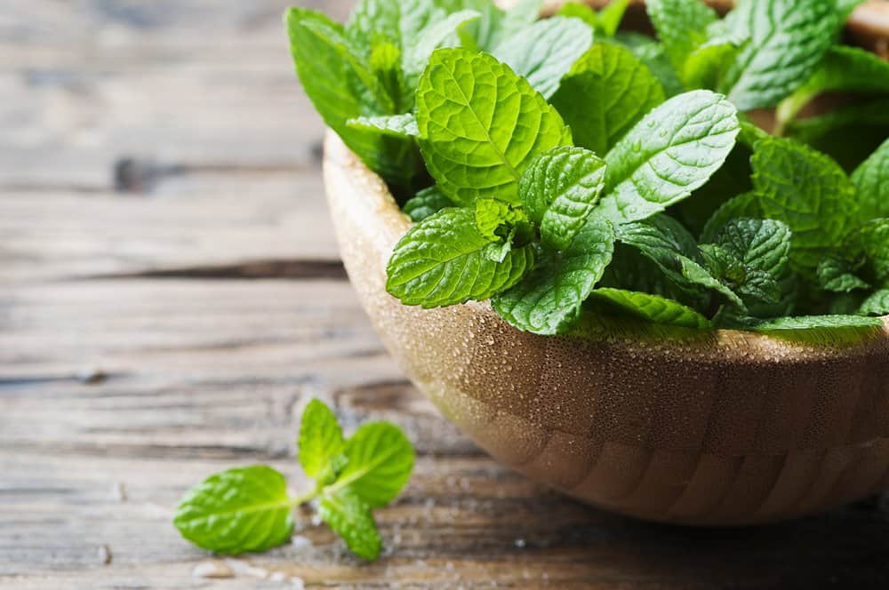 Hojas de menta en un tazón de madera