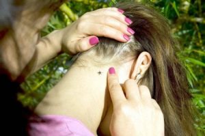 Una garrapata en el cuello de la niña