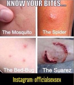 Las diferentes marcas de mordedura de insectos en el cuerpo