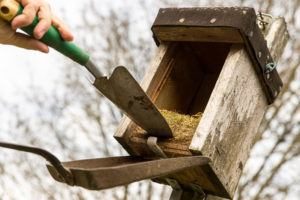 Hombre tratar de quitar el nido de pájaro con una pala