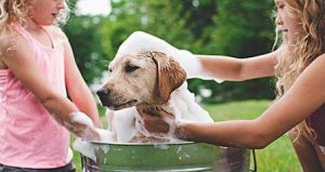 Dos niños están lavando su perro en el patio