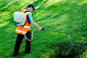 Plagas de plantas de control