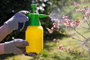 Mujer con guantes pulverizando una floración plantas