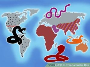 Venenosas gamas de serpientes no mapa