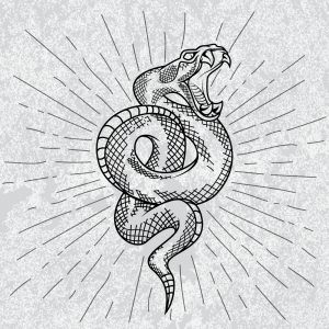 Símbolo de serpiente de cascabel en fondo blanco
