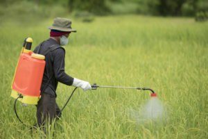 El agricultor pulverizó plaguicida durante la puesta del sol