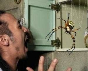 Un hombre tiene miedo cuando ve una araña.