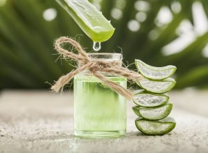 aloe vera en botella con piezas de aloe vera además de