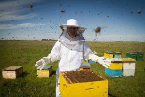 15 Formas Rápidas de Deshacerse de las Abejas de Forma Efectiva (Matarlas o Repelerlas Naturalmente)