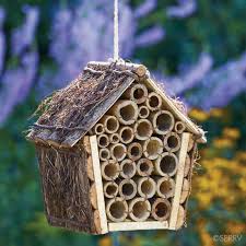 casa de abeja mason en el aire