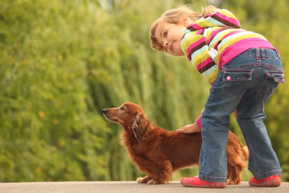 Una chica encantadora con su perro fuera