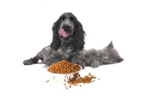Comida para perros y gatos