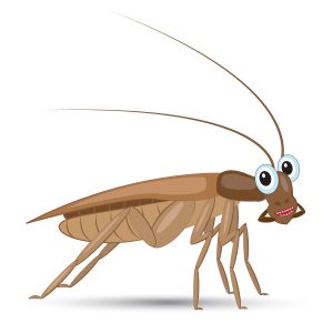 Una cucaracha de dibujos animados lindo en el fondo blanco