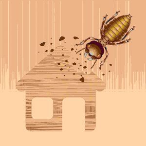 Imagen de dibujos animados de una termita grande está dañando la casa 