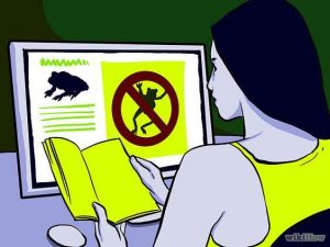 Mujer revisando en línea para encontrar la manera de deshacerse de las ranas