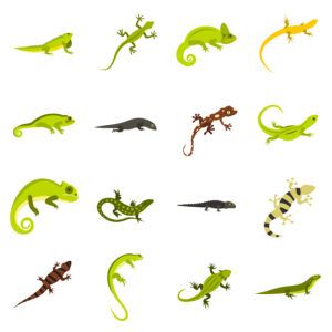 Iconos de lagarto plano en el blanco.