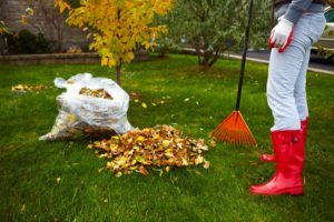 Mujer con botas rojas rastrillo Otoño hojas en el jardín.