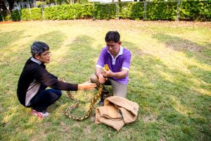 Dos personas están atrapando serpiente al aire libre