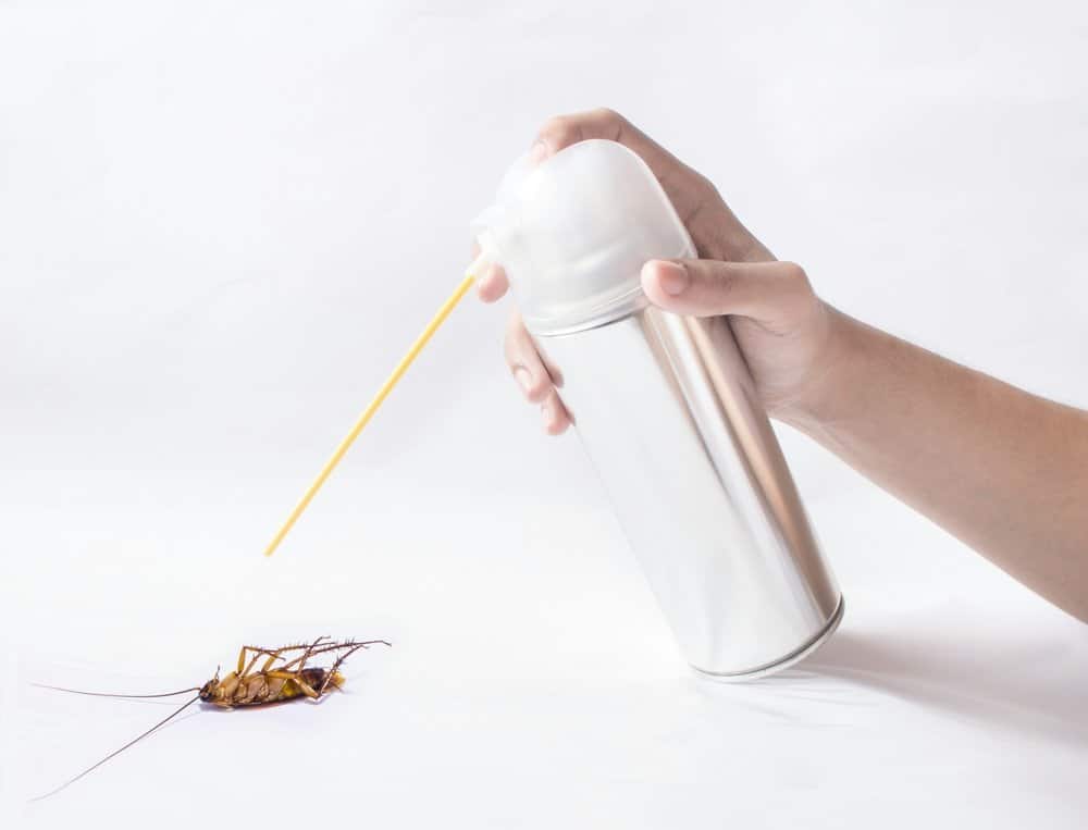 Un chico está usando spray de insectos para matar a la cucaracha