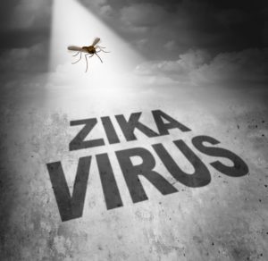 Símbolo de riesgo del virus Zika como la sombra de una enfermedad que transporta un mosquito formando un texto que representa el peligro de transmitir la infección a través de mordeduras de bichos que provocan la fiebre del zika.